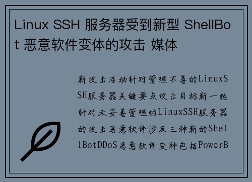 Linux SSH 服务器受到新型 ShellBot 恶意软件变体的攻击 媒体