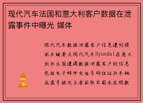 现代汽车法国和意大利客户数据在泄露事件中曝光 媒体