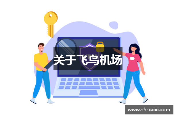 关于飞鸟机场